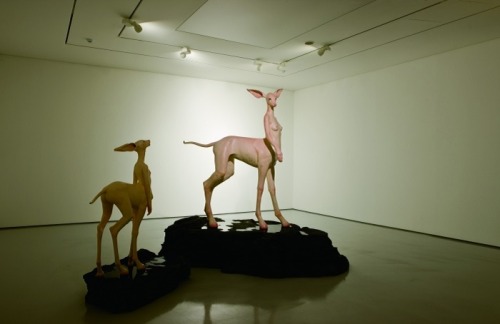 rawbdz:  iloboyou.com/kim-hyunsoo-hyper-realistic-sculpture/