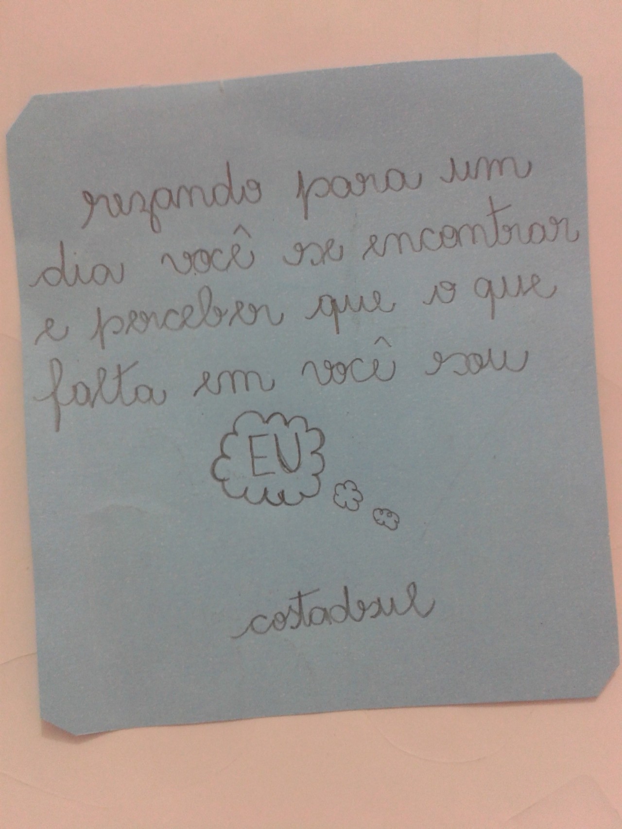 zona 360
