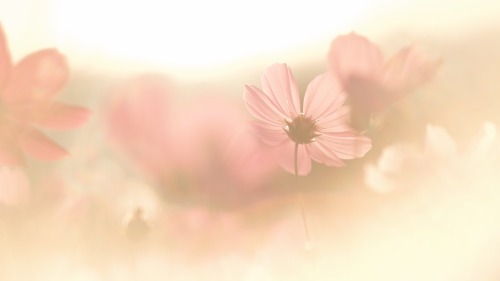 Visible Warmth