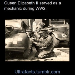 ultrafacts:vancity604778kid:ultrafacts:Sources: 1 2 3 4 5 6 7 8 9 10Follow Ultrafacts for more facts  One time a couple invited the Queen to their wedding as a joke, and she turned up.    http://www.bbc.com/news/uk-england-manchester-17499716