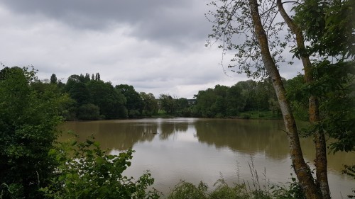 Greenish Pond (Saturday 5th June, 2021)