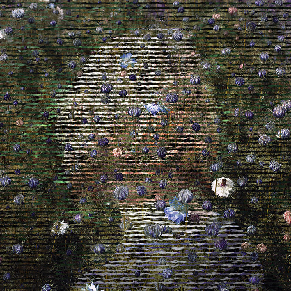 likeafieldmouse:  Helen Sear - More from her series Beyond the View (2011)