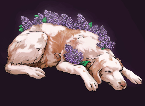 One dog one hundred lilacs one finished commission