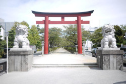 japan-overload:  Kamakura Temple by Mr Tomczak
