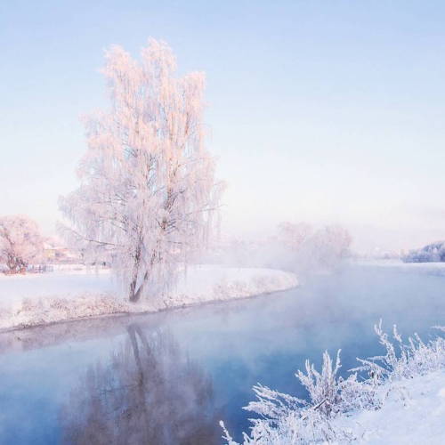 landscape-photo-graphy:  Photographer Captures the Pastel Pink and Blue Hues of a Snowy Landscape Photographer Alex Ugalnikov captures the soft hazy blue and pink hues of the snowy Belarus landscape. The morning fog, the gentle reflections of the snow