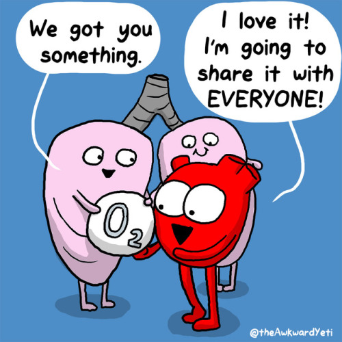 theAwkwardYeti.com