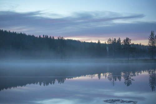 tiinatormanenphotography:Foggy summer nights. Southern Lapland, 2015.Today starting road trip chase 