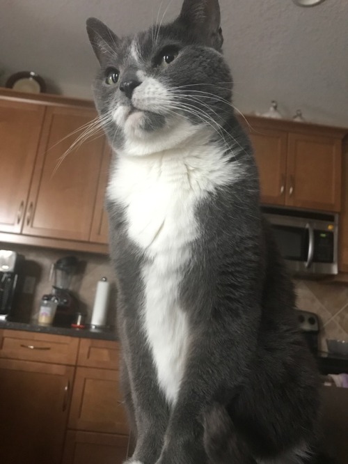 biscuit-darling:Jan 14, 2018