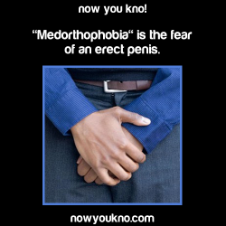 nowyoukno:  Source for more facts on your dash follow NowYouKno  I definitely do not have that fear
