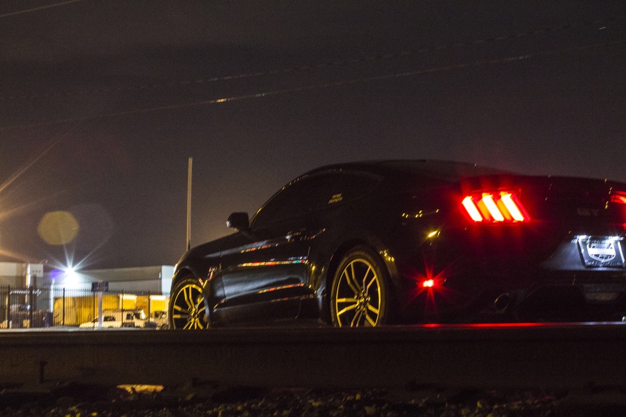 JUST THE COOLEST MUSTANGS