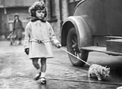 vintageeveryday:  Young girl with her kitten