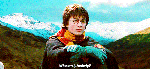 professorerudite:arthurpendragonns:#harry james potter you overdramatic bitchExistentialist Harry is