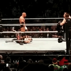unstablexbalor:Sami giving Triple H the crotch chop is the only reason why I giffed