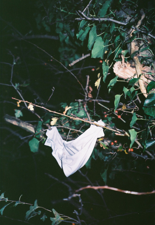 sca-rtissue.tumblr.com/post/108315615843/