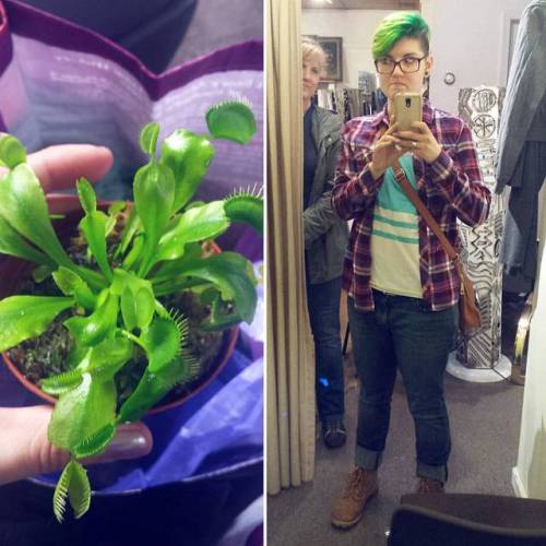 My new venus fly trap (her name is Morgan II) and mom photo bombs like a professional. (at Lambertvi