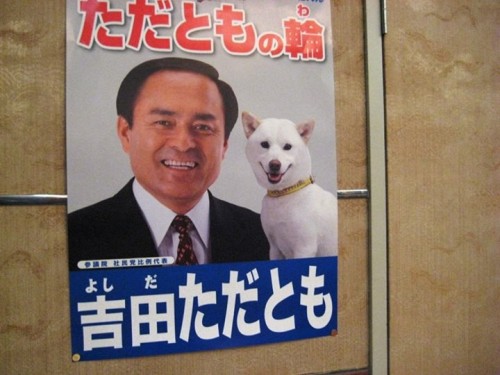 nobw2001:  【画像】　この議員の　”選挙ポスター”　ク　ソ　ワ　ロ　タ　ｗｗｗｗｗｗｗｗｗｗｗｗｗｗｗｗｗｗ｜保守速報  wwww
