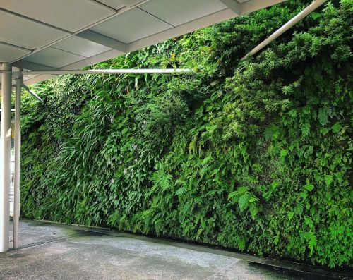 新山口駅“垂直の庭” [ 山口県山口市 ] Shin-Yamaguchi Station’s Vertical Garden, Yamaguchi の写真・記事を更新しました。 ーー山口の玄関口を彩る