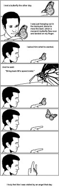 meme-rage:  I met a butterfly the other day..