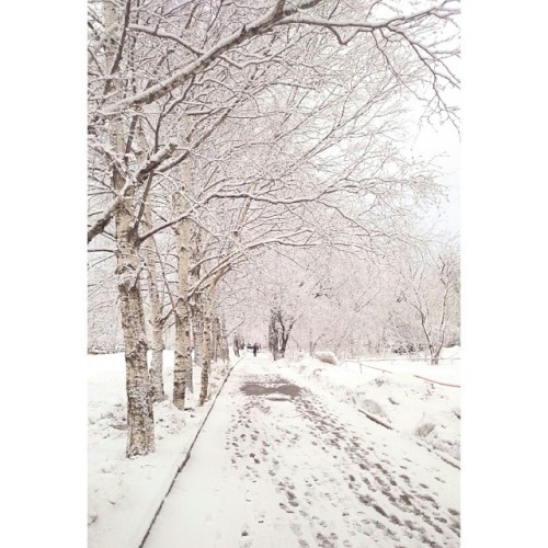 Porn #snow #today #walk #walking #spring? #white photos
