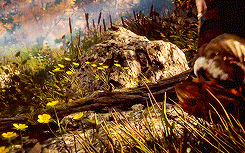 yocalio:  Horizon Zero Dawn