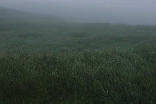 stephaniedolen:faroe islands, july 2018