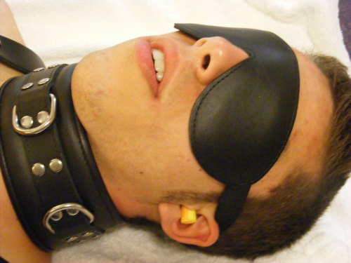 temptingdominance:  Such a good little play toy. 