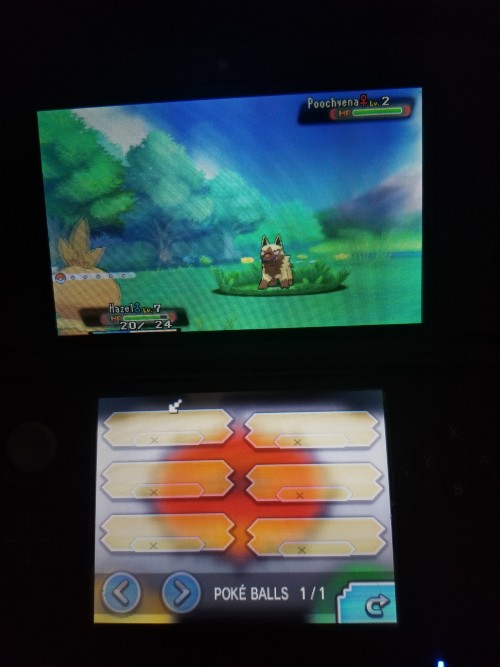 Alpha Sapphire Is Evil. While Trying To Level Up My Torchic I Ran Into A Shiny Poochyena But Because