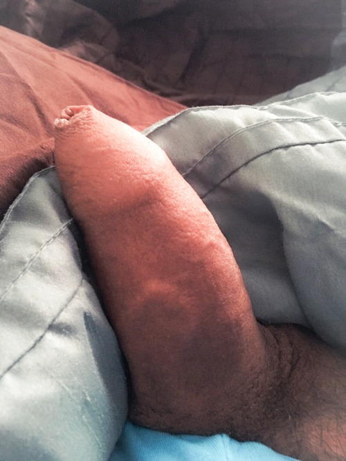 http://mrnopantsnoway.tumblr.com/post/140534809291