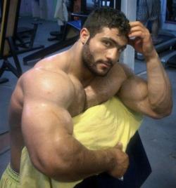 BIG MUSCLE GODS