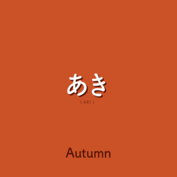 white-pumpkin:  aringoaday:  WEEK 91あき