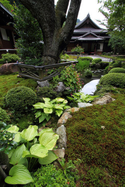 japanaway:  Garden in Japan, by Teruhide Tomori on Flickr.     