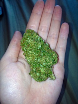 l-sing:A 6 gram nug out of my ounce 😍💚