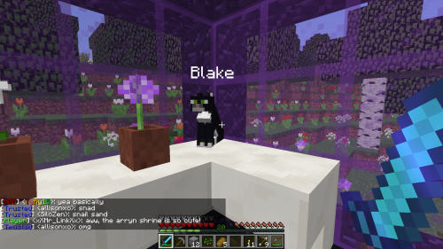 achievementcraftserver: I let out a little squeak when I saw the Blake cat. So cute. 