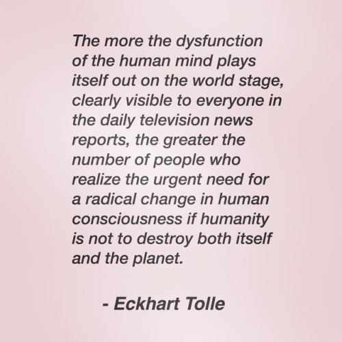 Awesome Sunday in the sun ☀️ reading #ThePowerofNow20 years since its publication and #EckhartToll