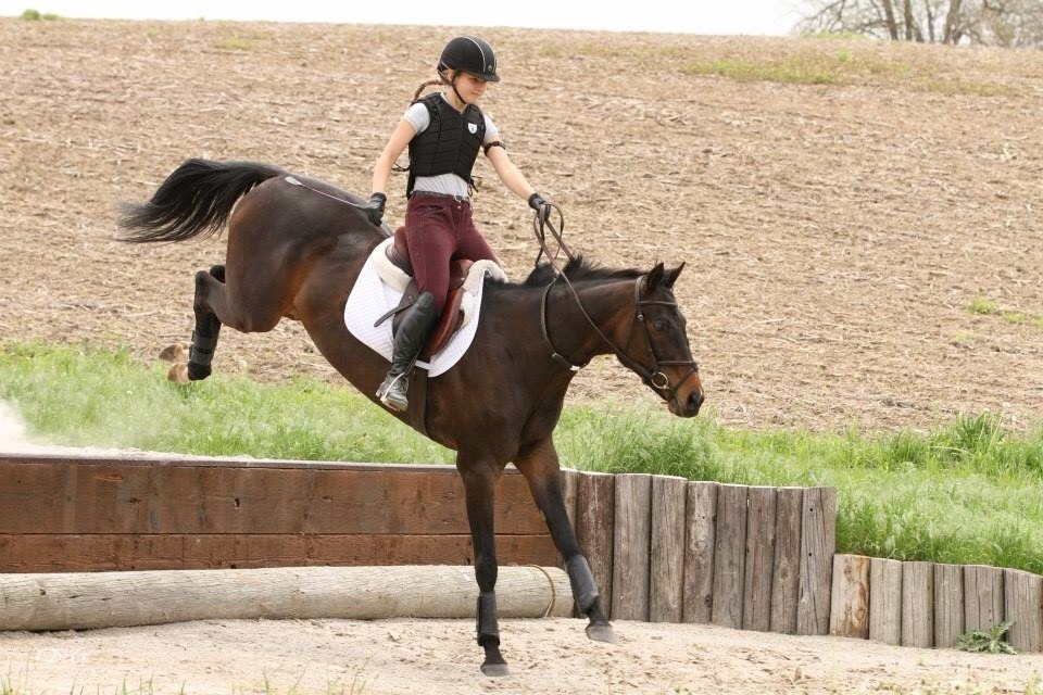 yougiveloveabadname7:  Schooling yesterday!  Oh no problem, i can do it one handed..