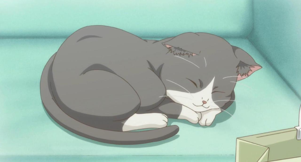 1200 Napping Cat Illustrations RoyaltyFree Vector Graphics  Clip Art   iStock  Cat nap