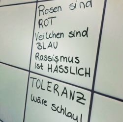 rigoros:  Rosen sind rot, Veilchen sind blau. Rassismus ist hässlich.  Toleranz wäre schlau. 