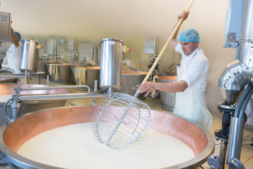 A Parmigiano Steam BathLocation: Castelnovo Sotto, ItalyWhile count ourselves amongst the world’s mo