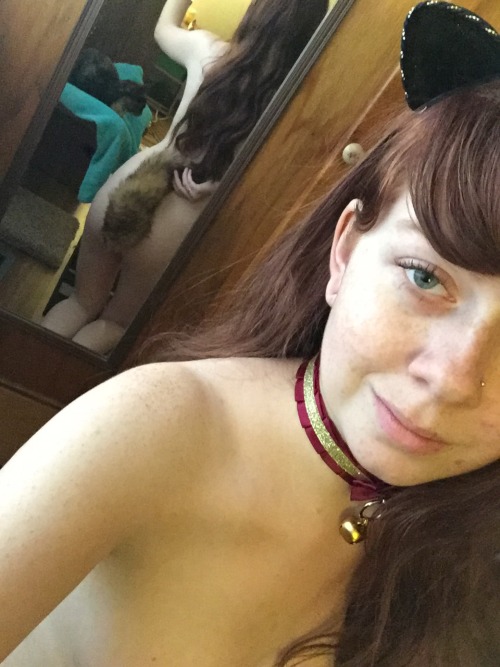 redheadedkitten:Can you spot Cleo?