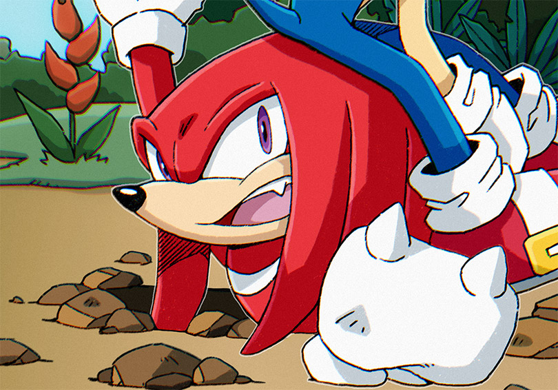 Image tagged with Sonic Heroes Knuckles the Echidna sonic the hedgehog on  Tumblr