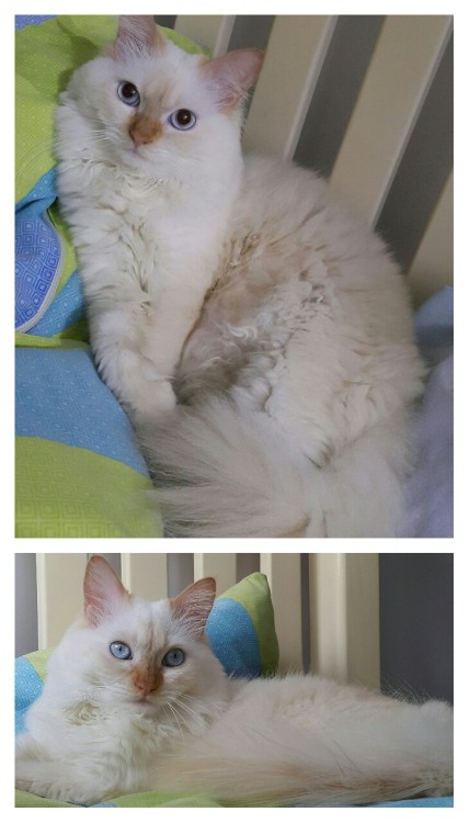 Cloud’s eyes in nighttime and his eyes in daytime. ☺