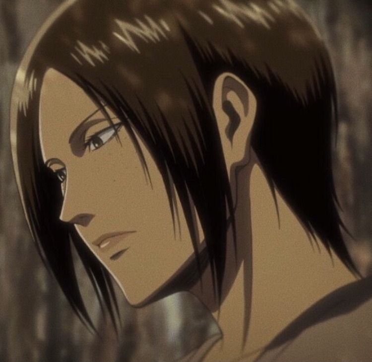 photo Aot Ymir Manga Icons enter color