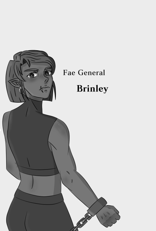 I ended up making her pose a lot more dramatic than the previous ones.This is Brinley! General of th
