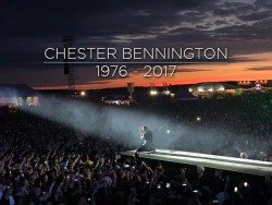 aishlingpark:  One year ago today, we lost a beautiful soul.  March 20, 1976 - July 20, 2017