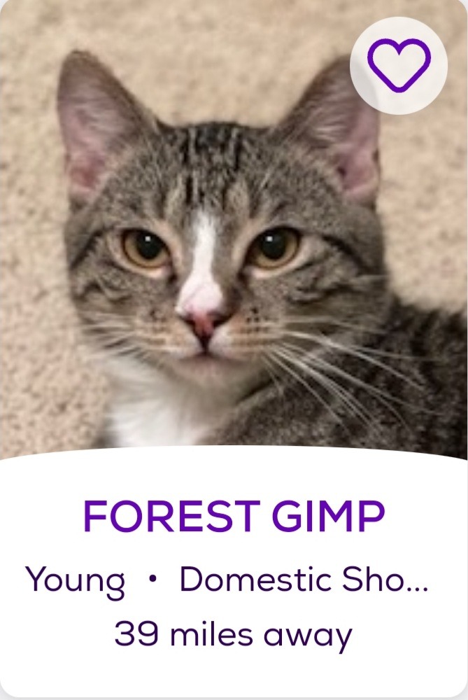 Funny Pet Names Found On The Internet On Tumblr