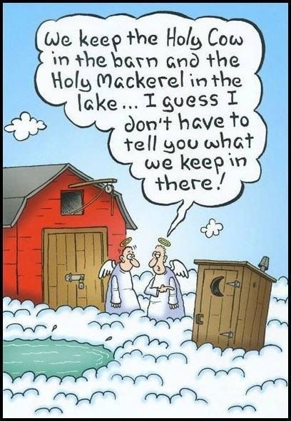 And where do you keep the blessed toilet paper?