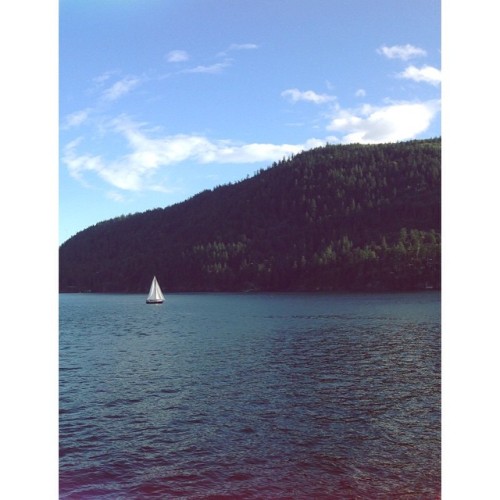 Can’t even explain how envious I am of the people on that sailboat. ⚓️⛵️ #westcoast #howesound