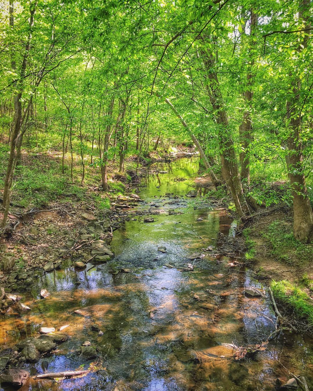 sparrowsriver:  Shallow Ford  #snapseed #formulasapp #mextures #ncnature #iphoneography