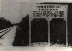 historicaltimes:  Memorial sign erected along