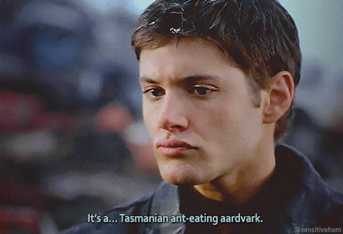 Edvard's Supernatural Guide: Dean Didn't Really Have A Problem With John The Denial Of Dean's Abuse 